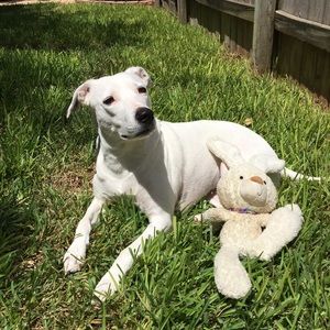 Meet your Posher, Elizabeth